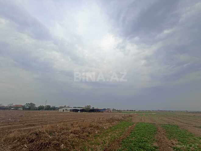 Satılır  torpaq 50 sot, photo 5 from 12