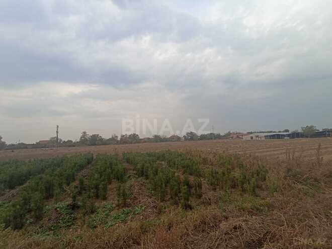 Satılır  torpaq 50 sot, photo 6 from 12