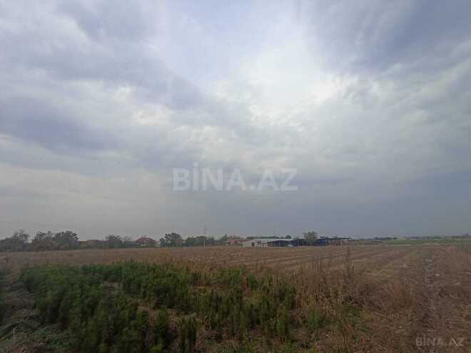 Satılır  torpaq 50 sot, photo 7 from 12