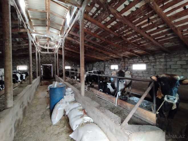 Satılır  torpaq 18 sot, Maştağa q., photo 10 from 19