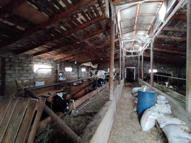 Satılır  torpaq 18 sot, Maştağa q., photo 11 from 19