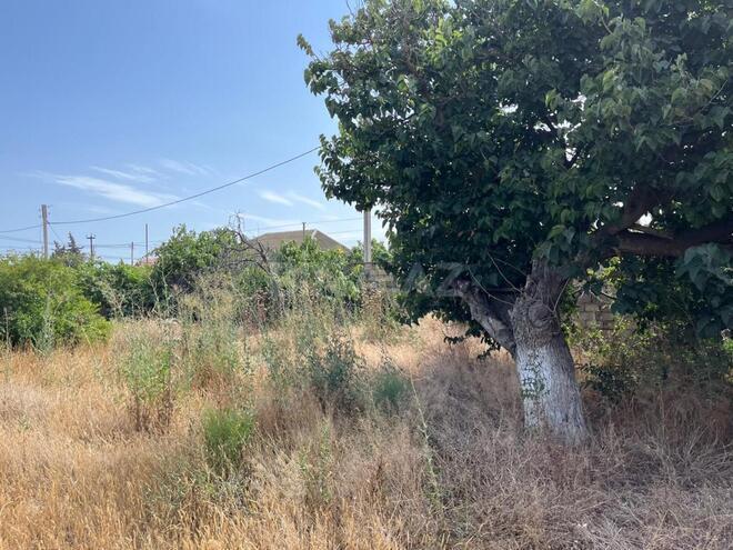 Satılır  torpaq 5.5 sot, Novxanı q., photo 5 from 10