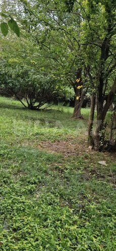 Satılır 3 otaqlı həyət evi/bağ evi 60 m², photo 16 from 24