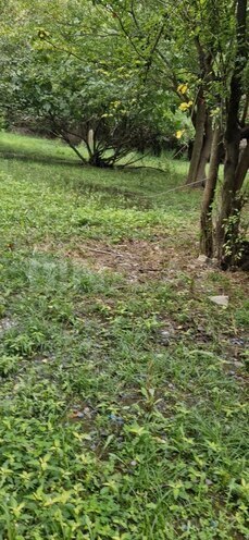 Satılır 3 otaqlı həyət evi/bağ evi 60 m², photo 18 from 24