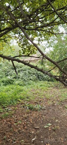 Satılır 3 otaqlı həyət evi/bağ evi 60 m², photo 23 from 24