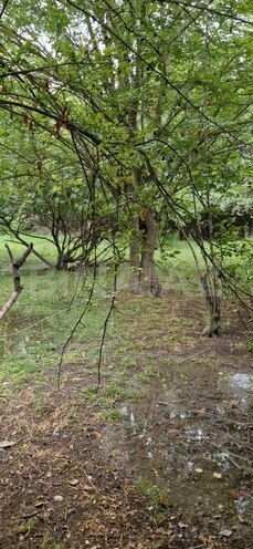 Satılır 3 otaqlı həyət evi/bağ evi 60 m², photo 20 from 24