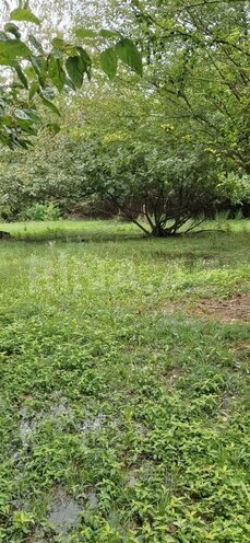 Satılır 3 otaqlı həyət evi/bağ evi 60 m², photo 17 from 24