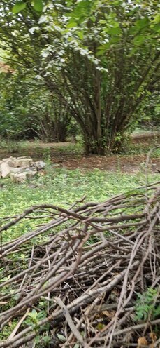 Satılır 3 otaqlı həyət evi/bağ evi 60 m², photo 12 from 24