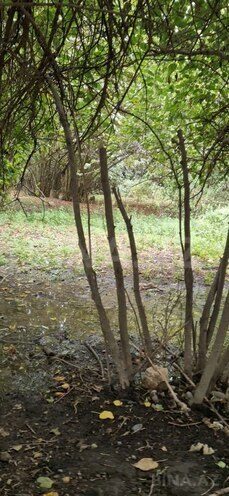 Satılır 3 otaqlı həyət evi/bağ evi 60 m², photo 6 from 24