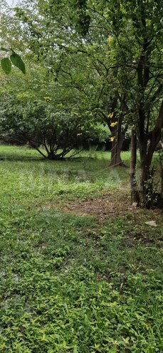 Satılır 3 otaqlı həyət evi/bağ evi 60 m², photo 14 from 24