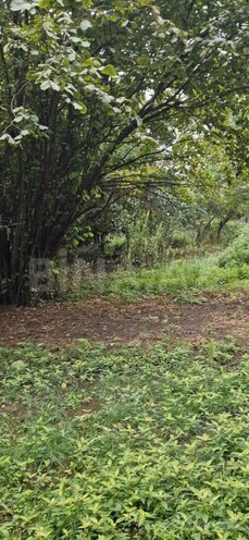 Satılır 3 otaqlı həyət evi/bağ evi 60 m², photo 15 from 24