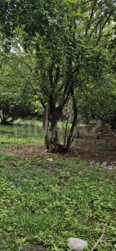 Satılır 3 otaqlı həyət evi/bağ evi 60 m², photo 13 from 24