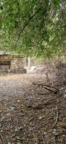 Satılır 3 otaqlı həyət evi/bağ evi 60 m², photo 10 from 24