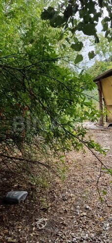 Satılır 3 otaqlı həyət evi/bağ evi 60 m², photo 9 from 24