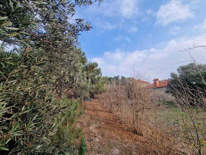 Продаётся 9-комн. дом/дача 810 м², пос. Нардаран, photo 27 from 30