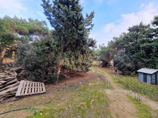 Продаётся 9-комн. дом/дача 810 м², пос. Нардаран, photo 29 from 30