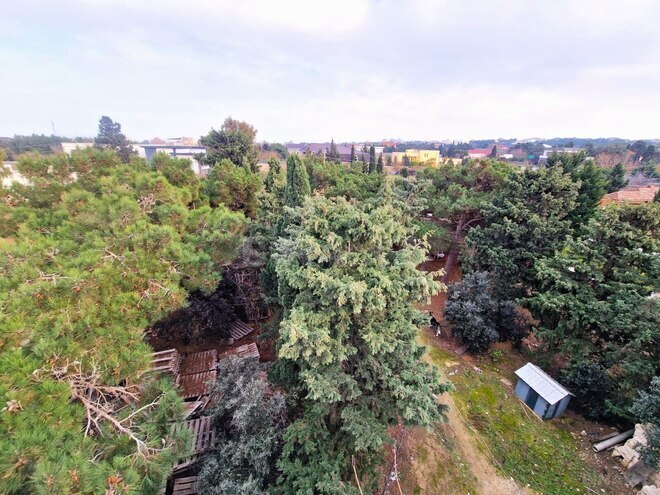 Продаётся 9-комн. дом/дача 810 м², пос. Нардаран, photo 4 from 30