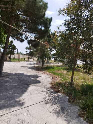 Satılır  obyekt 5 000 m², photo 15 from 26