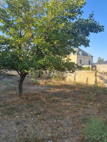 Продаётся  участок 6 сот, Хатаинский р., photo 8 from 11