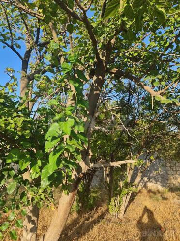 Продаётся  участок 6 сот, Хатаинский р., photo 7 from 11