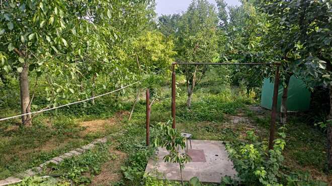 Satılır 4 otaqlı həyət evi/bağ evi 360 m², photo 18 from 19