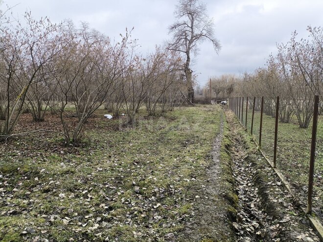 Satılır  torpaq 44 sot, photo 3 from 5