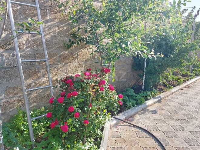 Сдаётся 5-комн. дом/дача 200 м², пос. Тюркан, photo 8 from 31