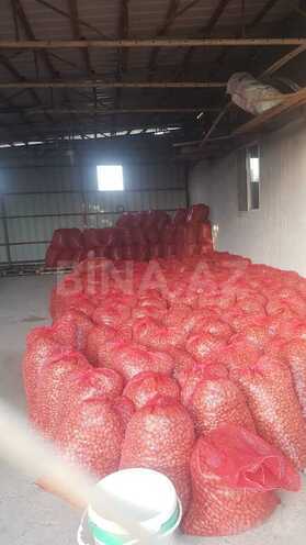 Satılır  torpaq 800 sot, photo 10 from 21