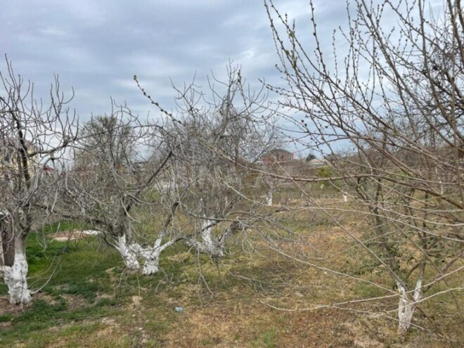 Продаётся  участок 25 сот, Бинагадинский р., photo 4 from 5
