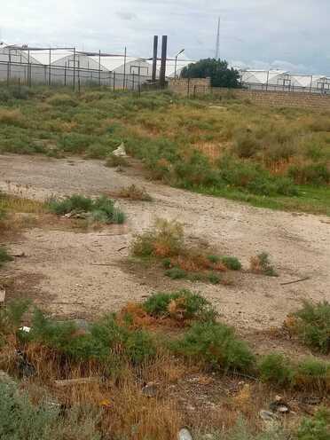 Satılır  torpaq 140 sot, photo 4 from 9