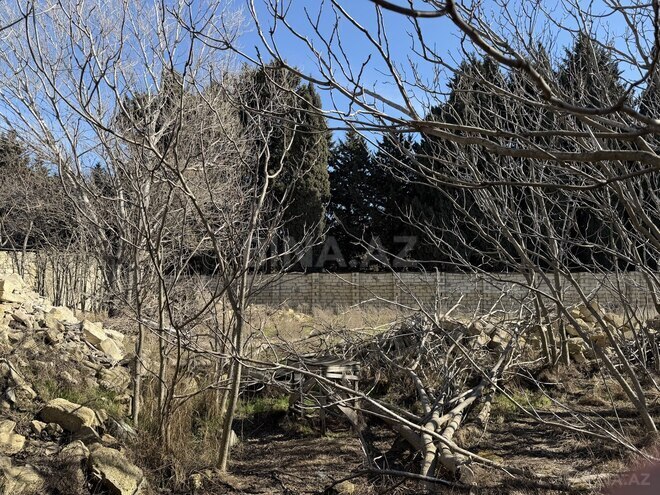 Satılır  torpaq 7 sot, Badamdar q., photo 4 from 8
