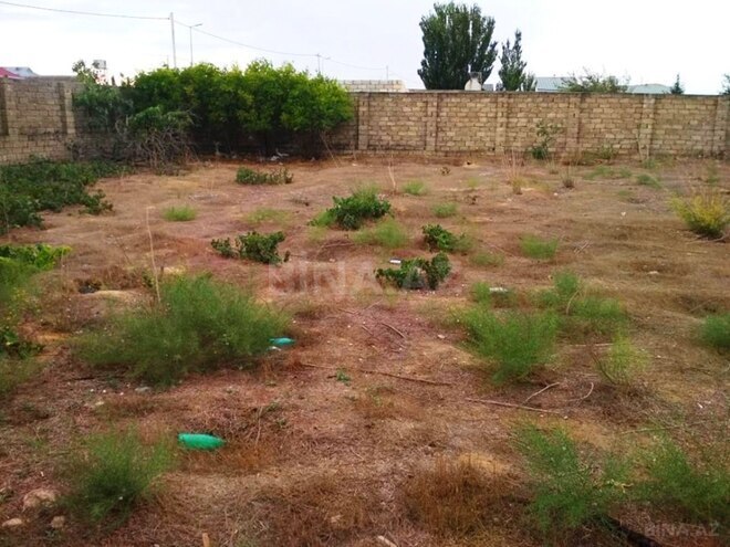 Satılır  torpaq 21.5 sot, Zığ q., photo 4 from 12