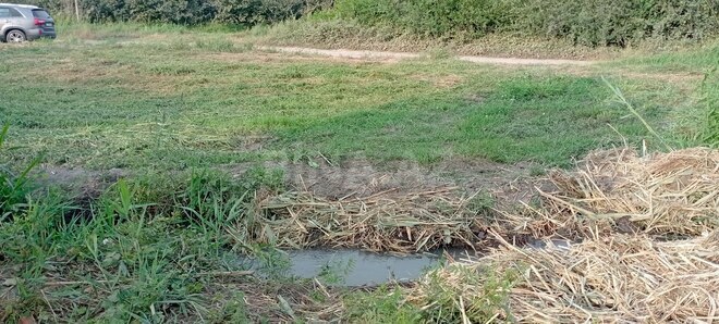 Satılır  torpaq 120 sot, photo 11 from 13