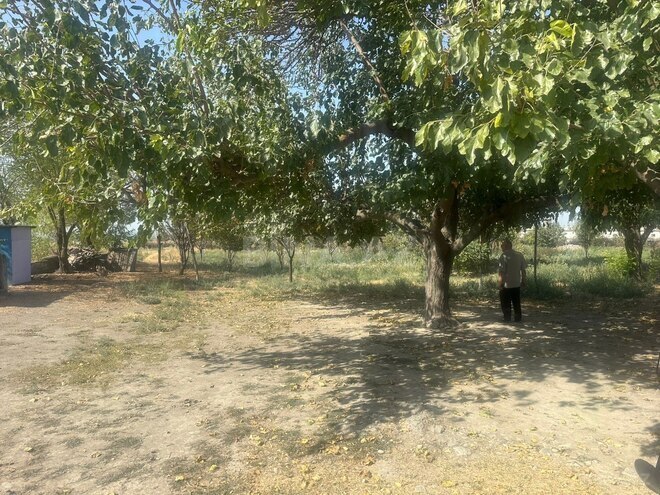 Satılır  torpaq 100 sot, photo 5 from 14