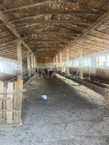 Satılır  torpaq 100 sot, photo 10 from 14