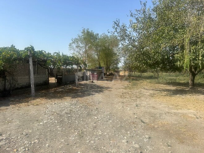 Satılır  torpaq 100 sot, photo 6 from 14