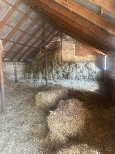 Satılır  torpaq 100 sot, photo 9 from 14