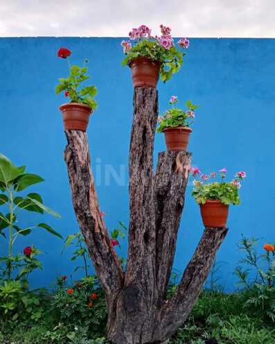 İcarəyə verilir 2 otaqlı həyət evi/bağ evi 100 m², photo 10 from 17