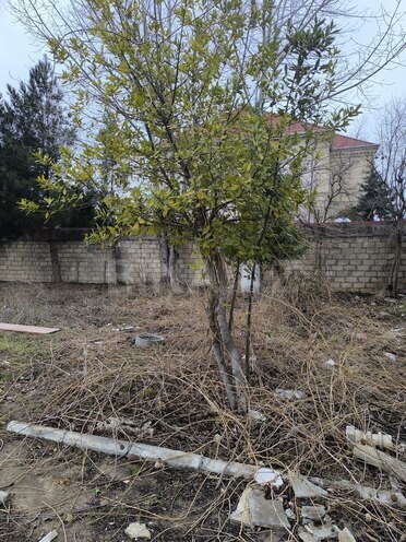 Продаётся  участок 3.5 сот, пос. Фатмаи, photo 6 from 11