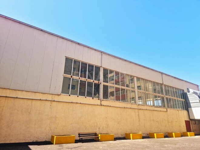 İcarəyə verilir  obyekt 900 m², Dərnəgül m., photo 6 from 7