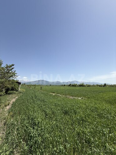 Satılır 4 otaqlı həyət evi/bağ evi 150 m², photo 17 from 29