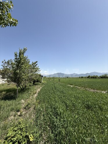 Satılır 4 otaqlı həyət evi/bağ evi 150 m², photo 13 from 29