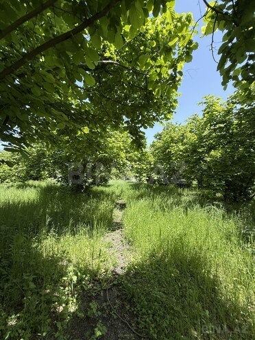 Satılır 4 otaqlı həyət evi/bağ evi 150 m², photo 16 from 29