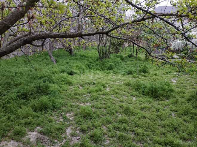 Продаётся  участок 15.5 сот, м. Ахмедлы, photo 5 from 11