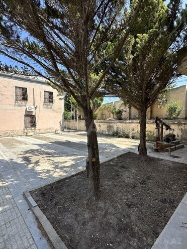 Продаётся  участок 30 сот, пос. Горадил, photo 9 from 16