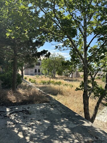 Продаётся  участок 30 сот, пос. Горадил, photo 15 from 16