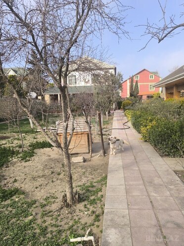Satılır 5 otaqlı həyət evi/bağ evi 280 m², Novxanı q., photo 10 from 31