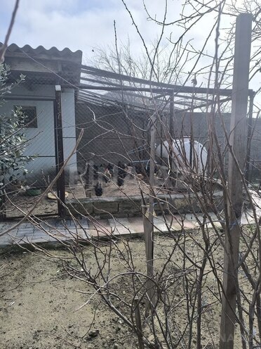 Satılır 5 otaqlı həyət evi/bağ evi 280 m², Novxanı q., photo 12 from 31