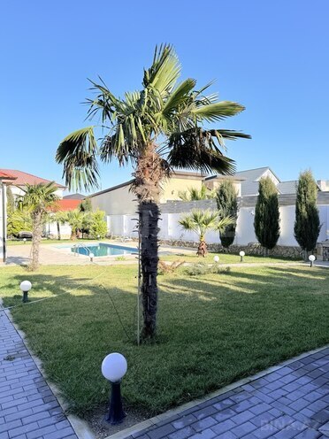 İcarəyə verilir 5 otaqlı həyət evi/bağ evi 360 m², Sea Breeze q., photo 4 from 26