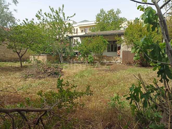 Продаётся  участок 7.7 сот, пос. Бадамдар, photo 8 from 18